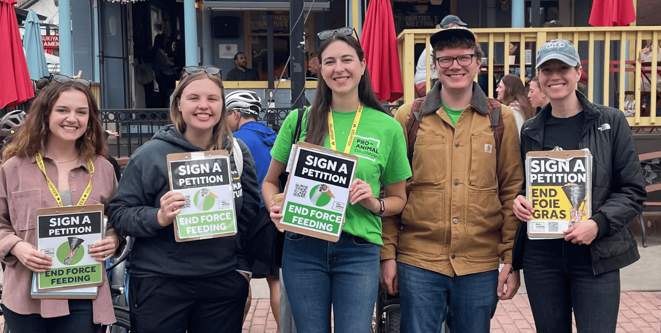 Pro-Animal Colorado volunteers petitioning to end force-feeding of birds in Denver