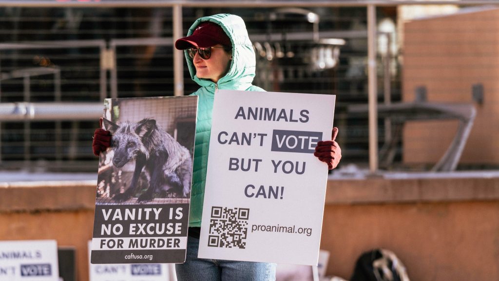 denver-fur-ban-1-1024x577
