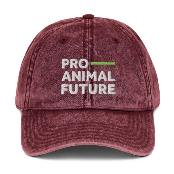 Vintage Cotton Twill Cap - Image 9