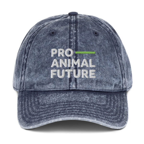 Vintage Cotton Twill Cap - Image 5