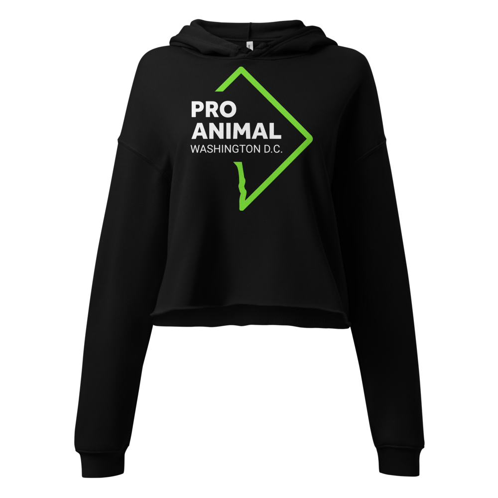 DC Crop Hoodie