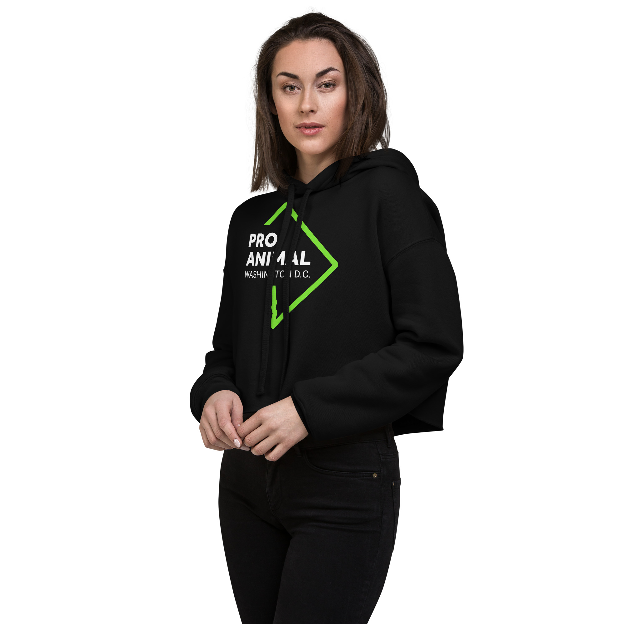 DC Crop Hoodie - Image 3